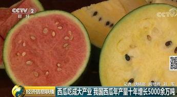 江苏财经吃瓜事件,揭秘网络舆论的风暴与真相