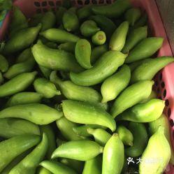 女人吃角瓜好不好,女性养生佳品，吃角瓜的好处大盘点