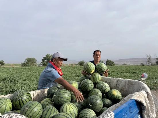 埃森吃瓜,揭秘瓜界风云人物